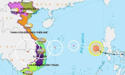 Bão số 10 giật cấp 10 hướng đất liền Đà Nẵng - Phú Yên